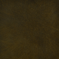 Aged Brass 