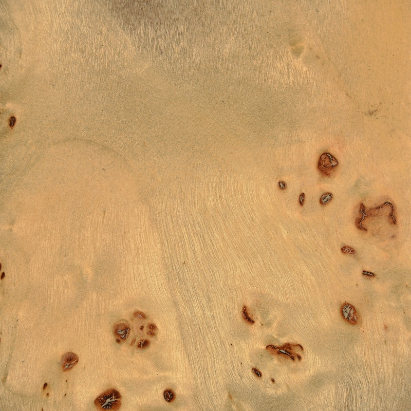 Pale Oak Burl